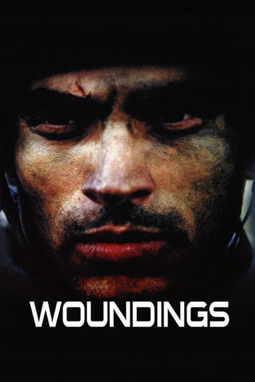 Постер Woundings